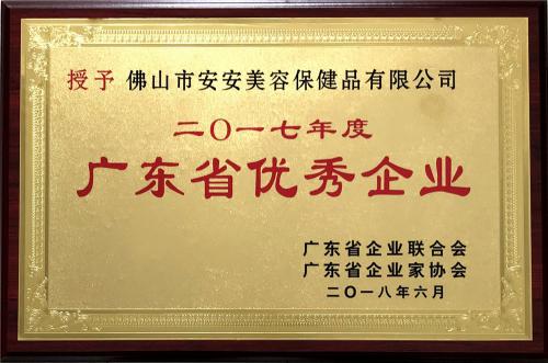 2017广东省优异企业