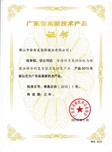 2015广东省高新手艺产品证书