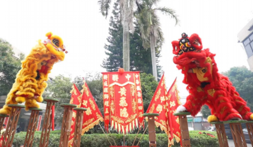 龙腾狮跃，，，，共铸绚烂未来！